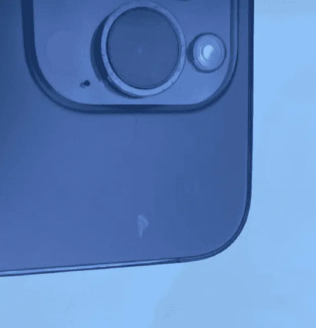 capture 5