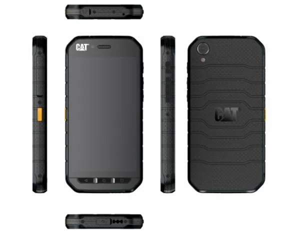 cat s41 insert