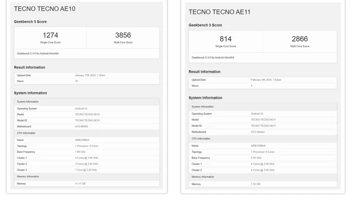 collage e1713084064470