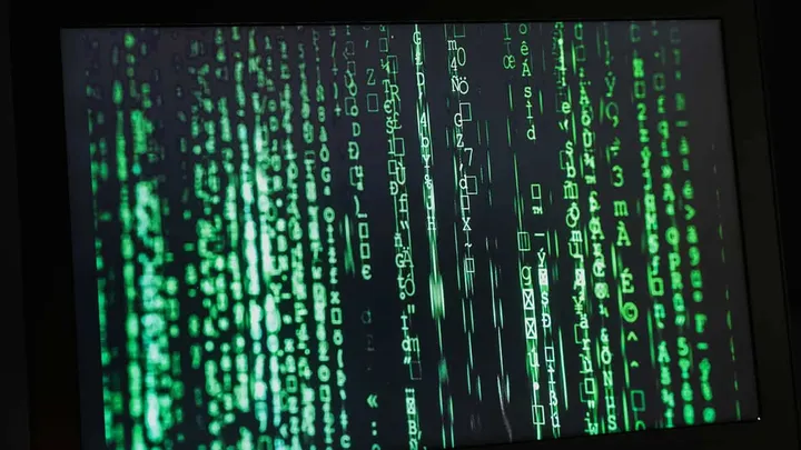 compare fibre tise patt0a unsplash