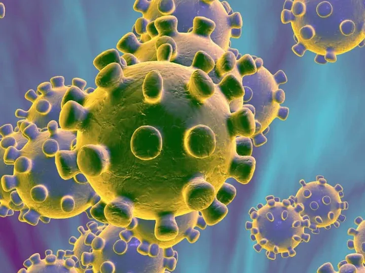 coronavirus
