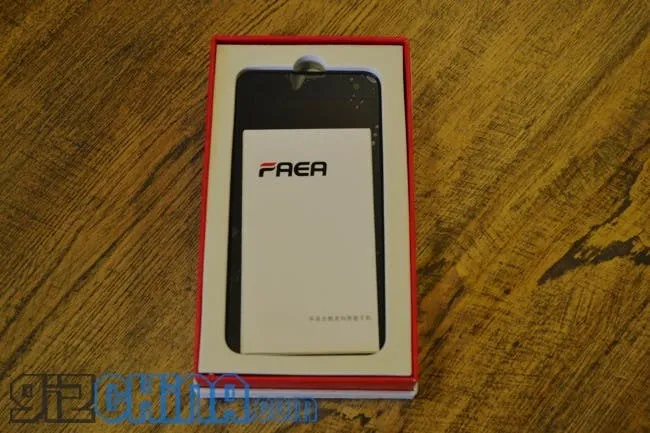 faea f2 in the box1