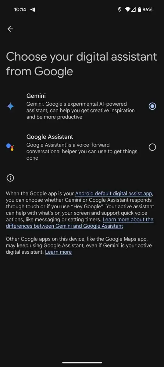 gemini assistant1