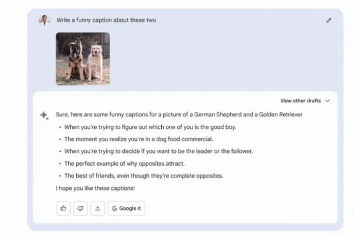 google bard multimodal accepts image and text prompts