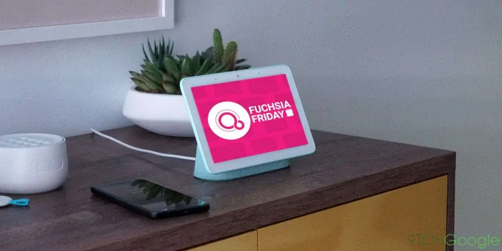 google nest hub a