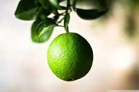 green orange literal