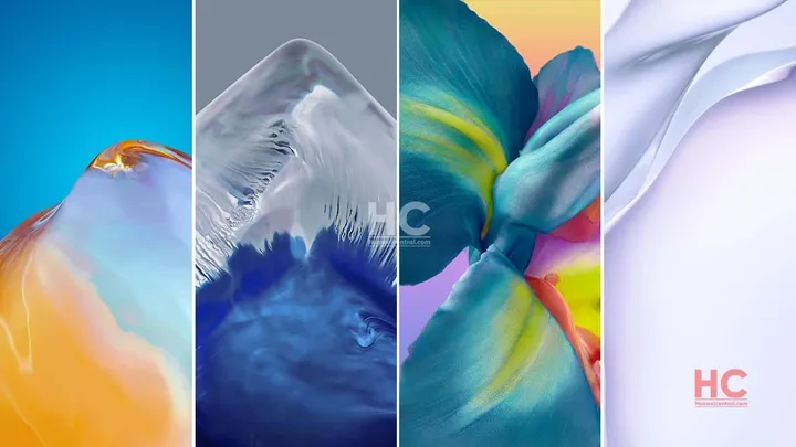 huawei p40 series wallpapers 1