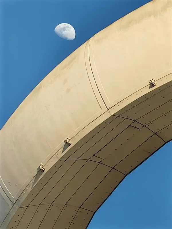 huawei p60 image b