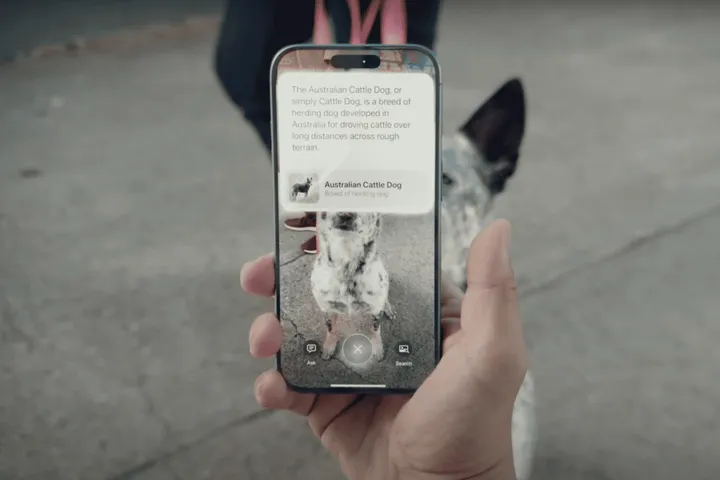 image 2025 03 24 141520462