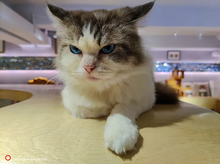 imagem 2022 02 12 162717