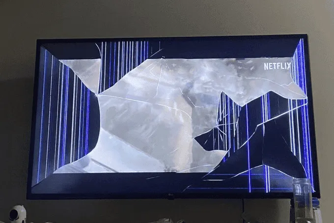 imagem 2022 07 28 152512776