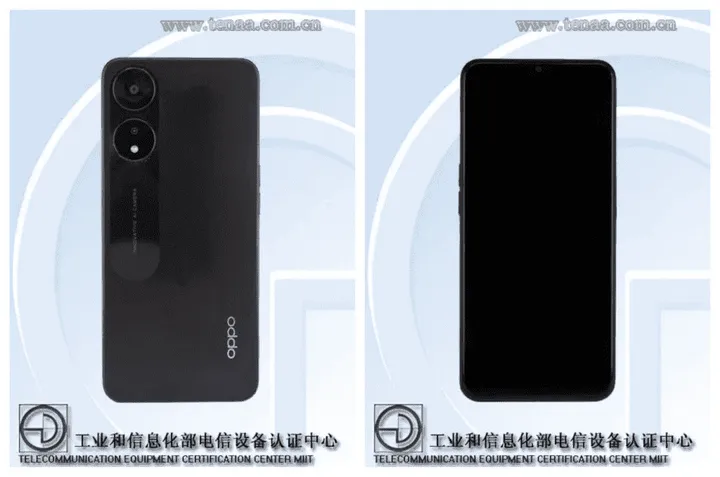 imagem 2022 10 24 223833441