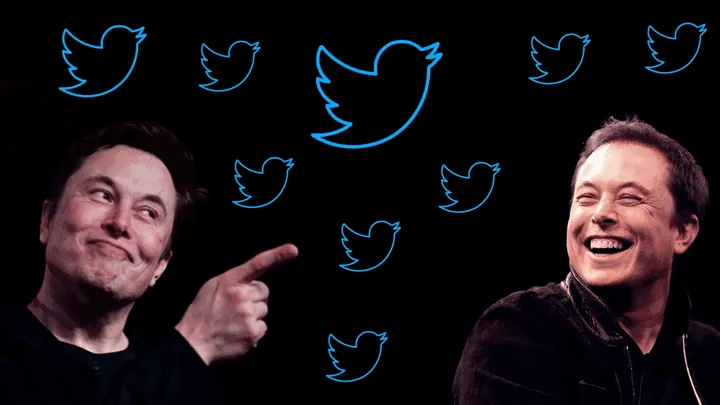 imagem 2022 10 31 234443781