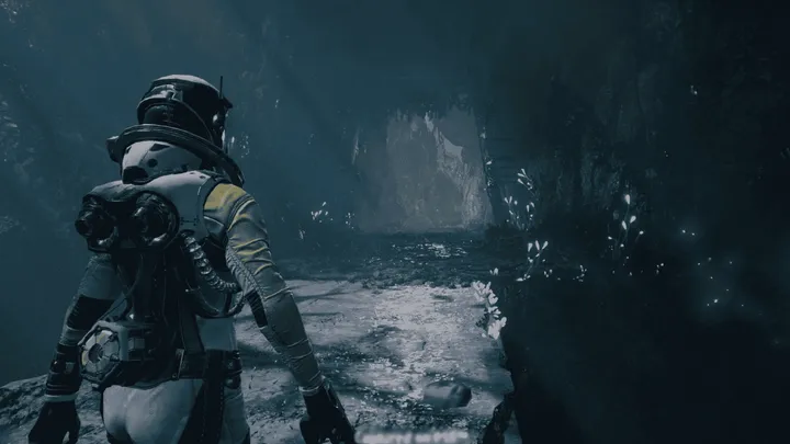 imagem 2022 12 17 115935921