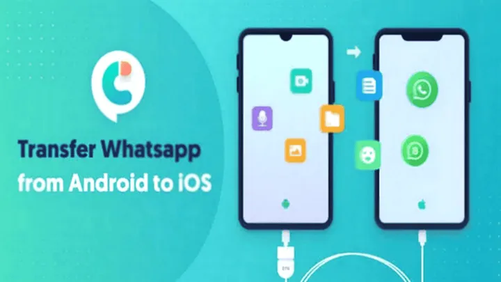 imagem 2023 07 12 171120702