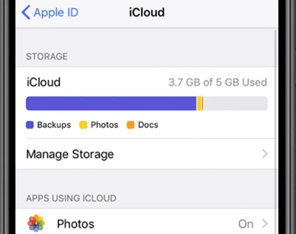 imagem 2024 02 02 230539052