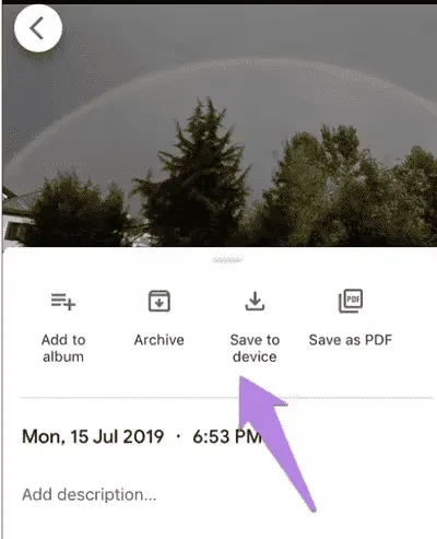 imagem 2024 02 20 172947460