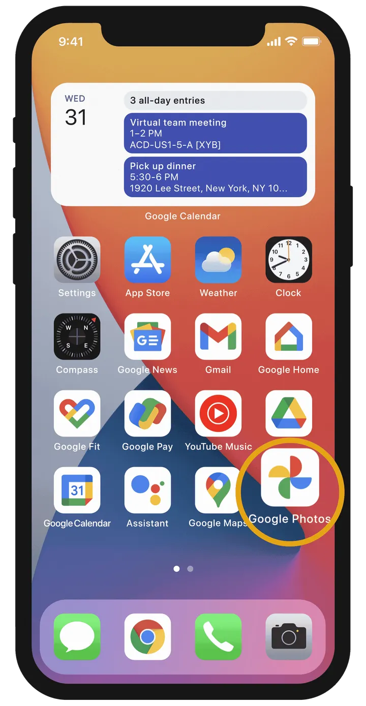 imagem 2024 02 20 174243004