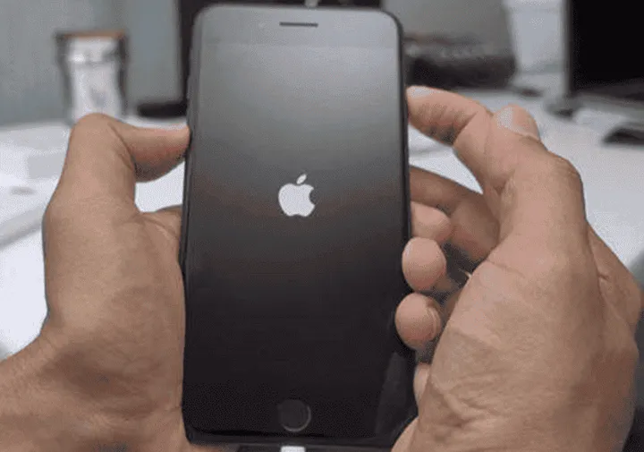 imagem 2024 02 20 180710728