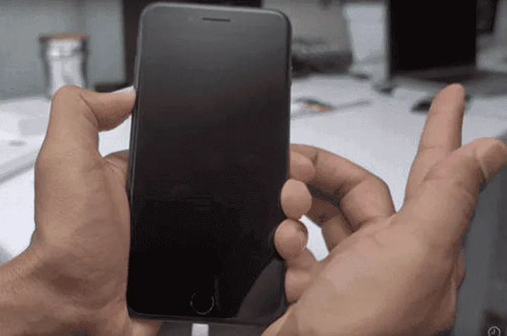 imagem 2024 02 20 180745013