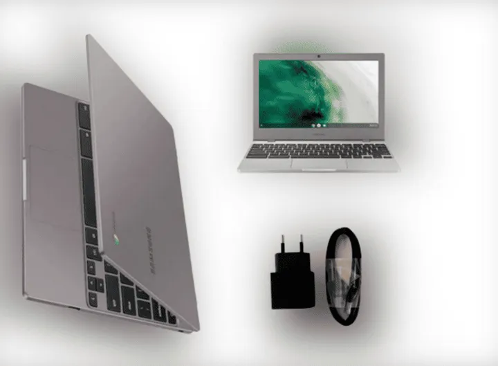 imagem 2024 03 01 151421259