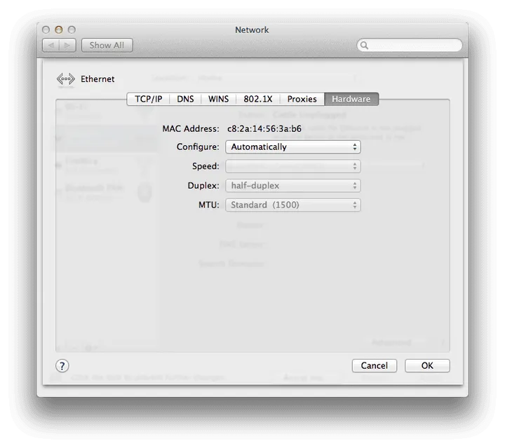 imagem 2024 05 01 220421999