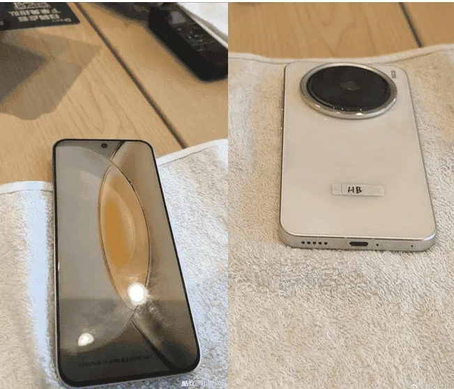 imagem 2024 07 31 122742302