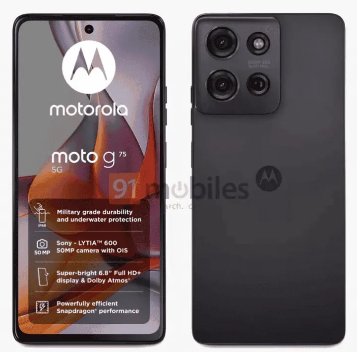 imagem 2024 09 19 171613985