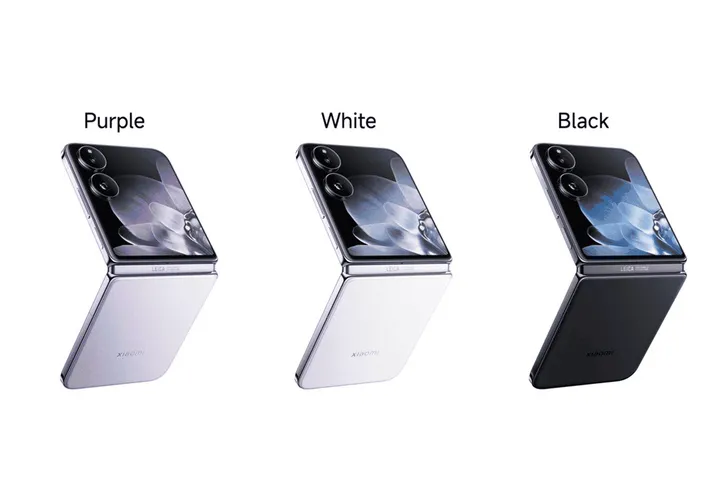 imagem 2024 09 24 210425480