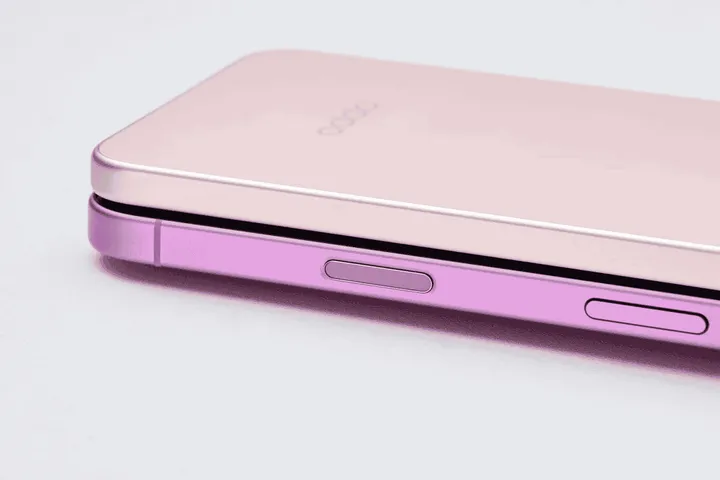 imagem 2024 11 15 131950429