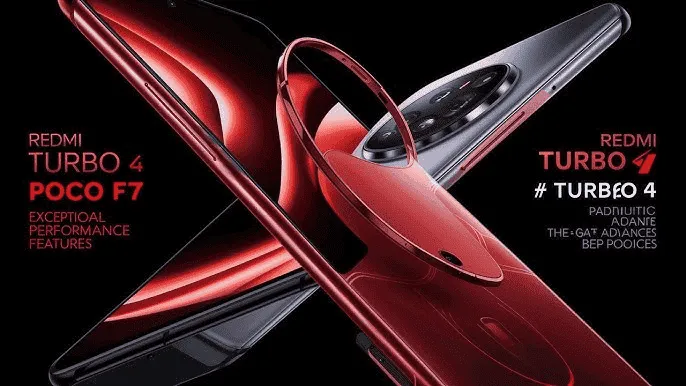 imagem 2024 12 24 123941448