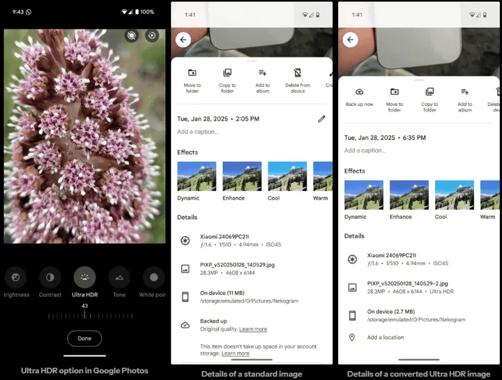 imagem 2025 04 22 155012154