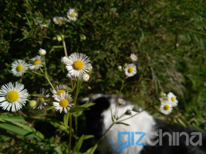 img 20161015 140825 good