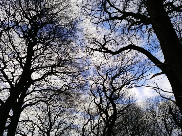 img 20161230 141815 1