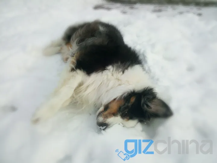 img 20161231 121259 slr