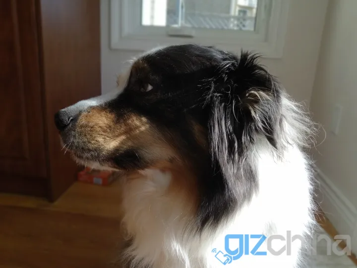 img 20170321 172010 stereo