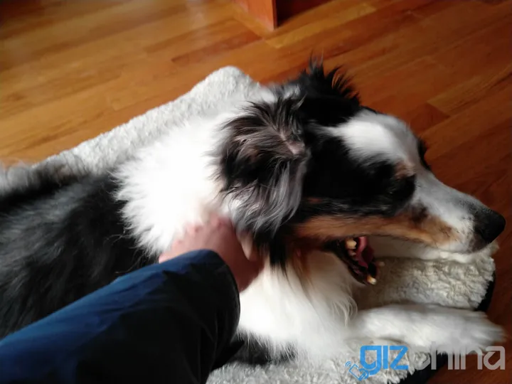 img 20180215 163749r