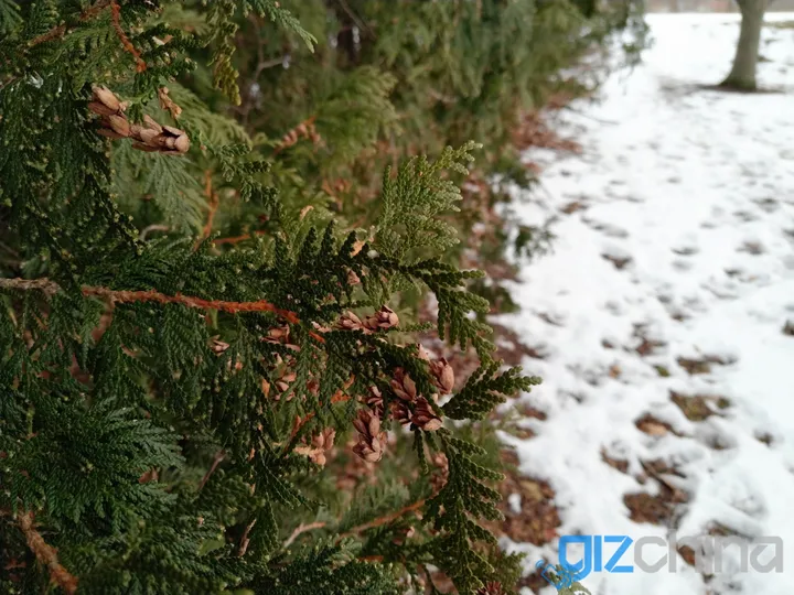 img 20180215 165137r