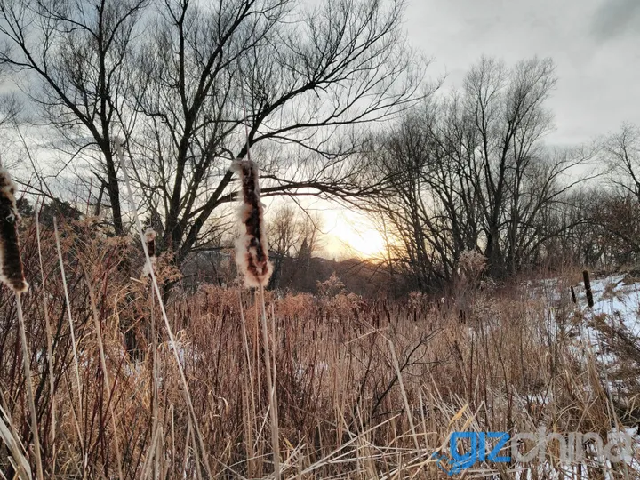 img 20180215 170230r