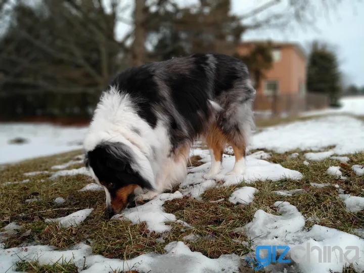 img 20180215 170645b