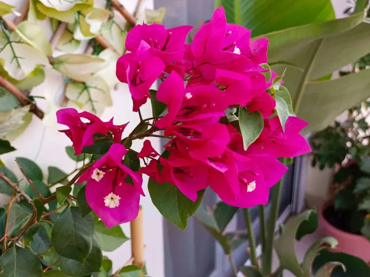 img 20220707 200306 228