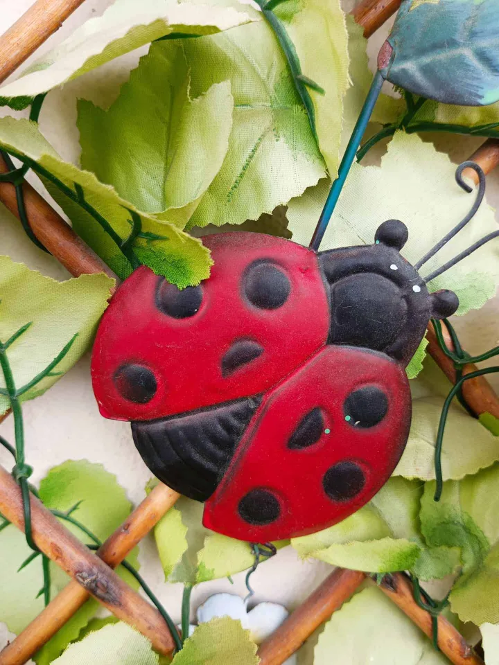 img 20221215 111324 529