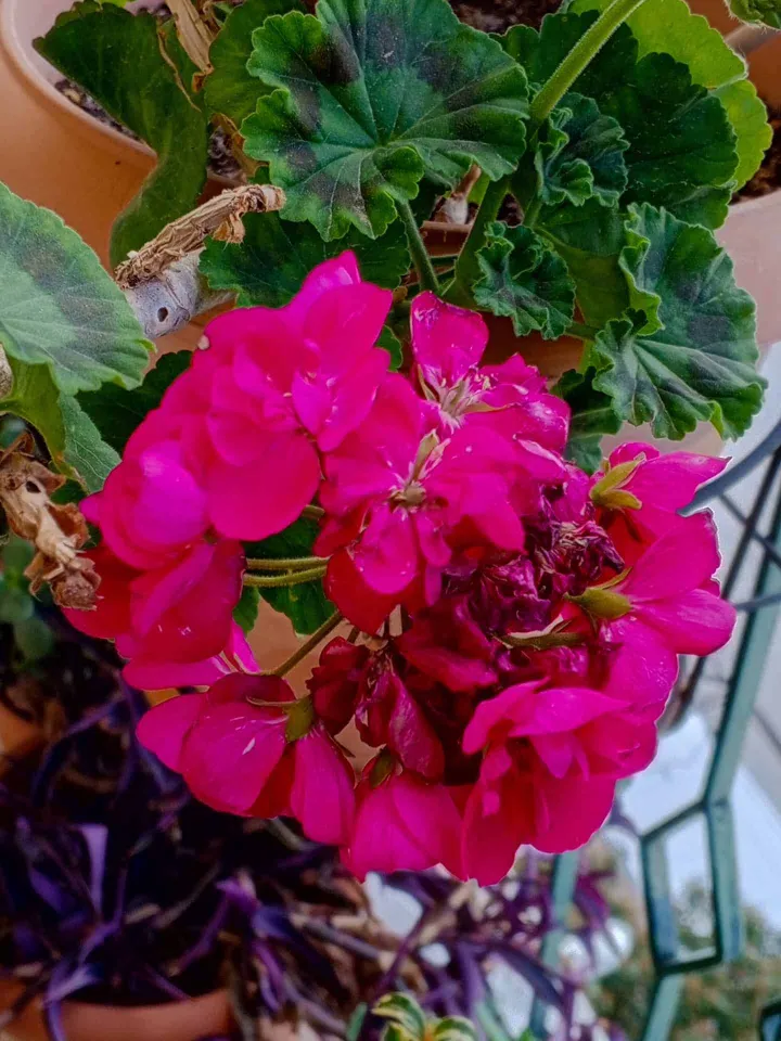 img 20230313 142729 282