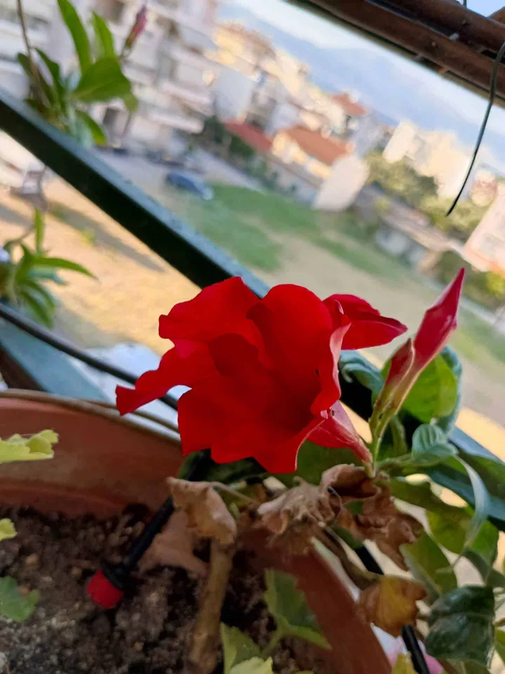 img 20230803 192712 996