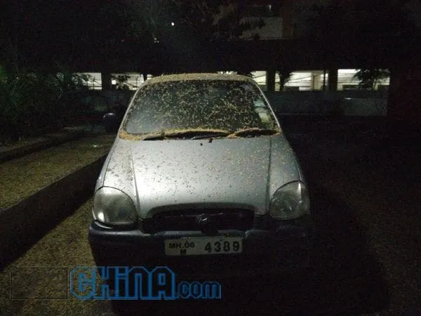 img20140718215638 result 6