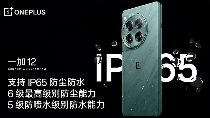 ip rating oneplus 12
