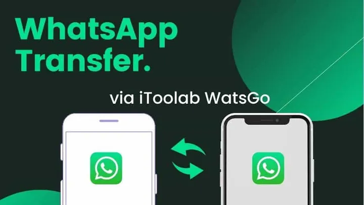 itoolab watsgo