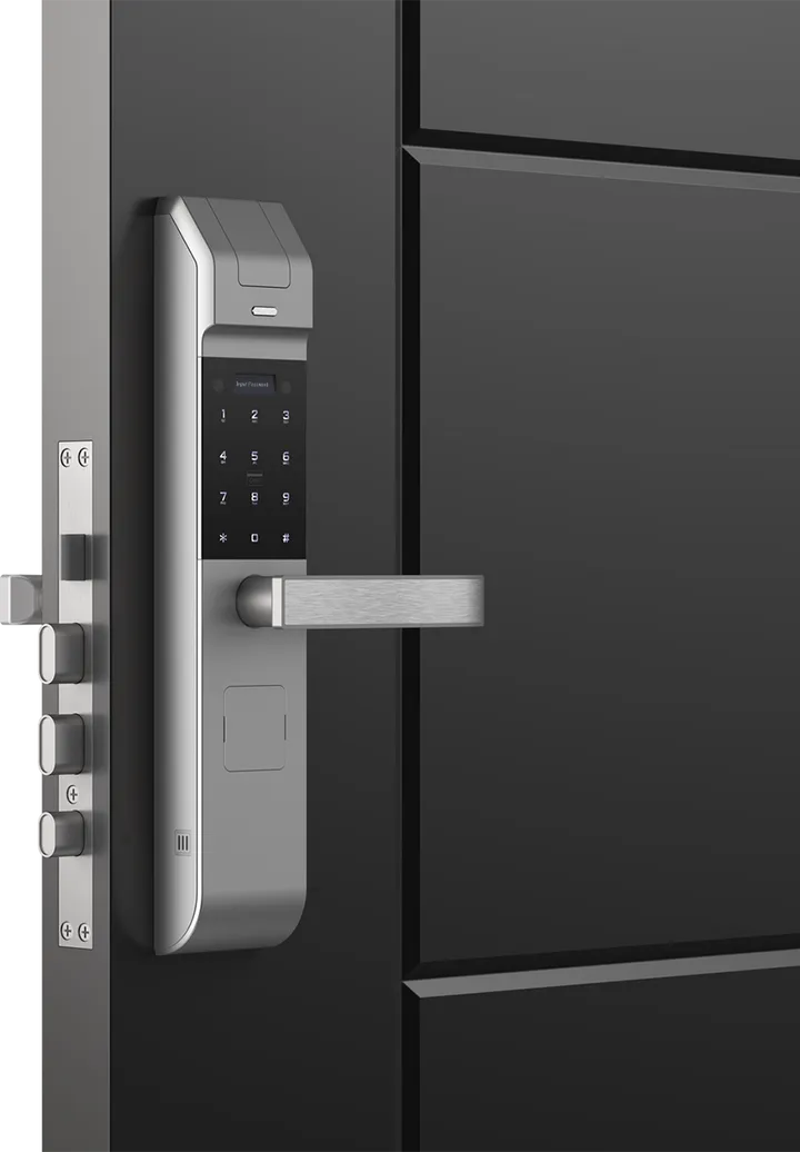 l1 s3 imgv2