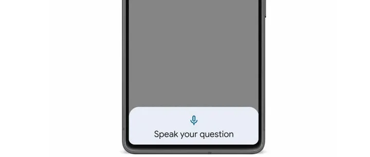 lookout image question and answer