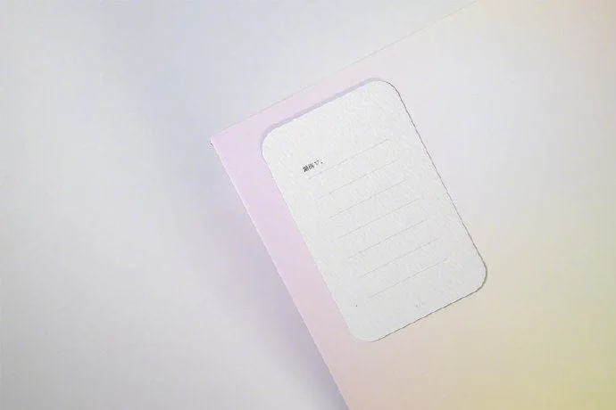 meizu 17 invitation g